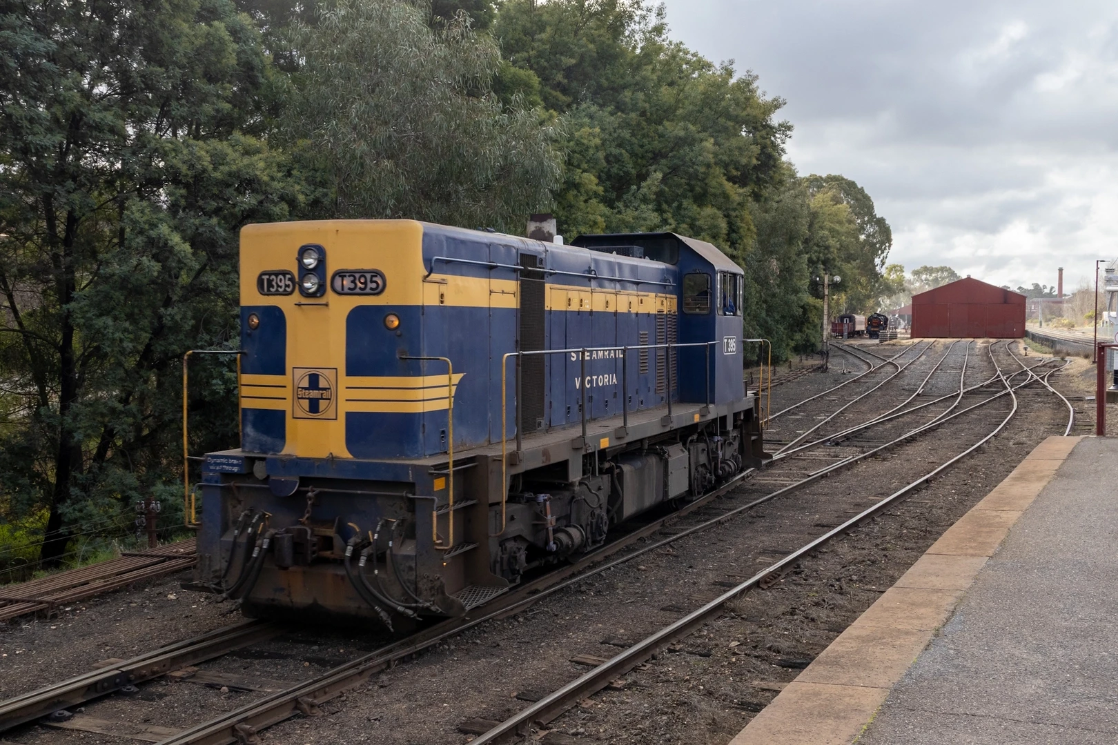 T Class T395