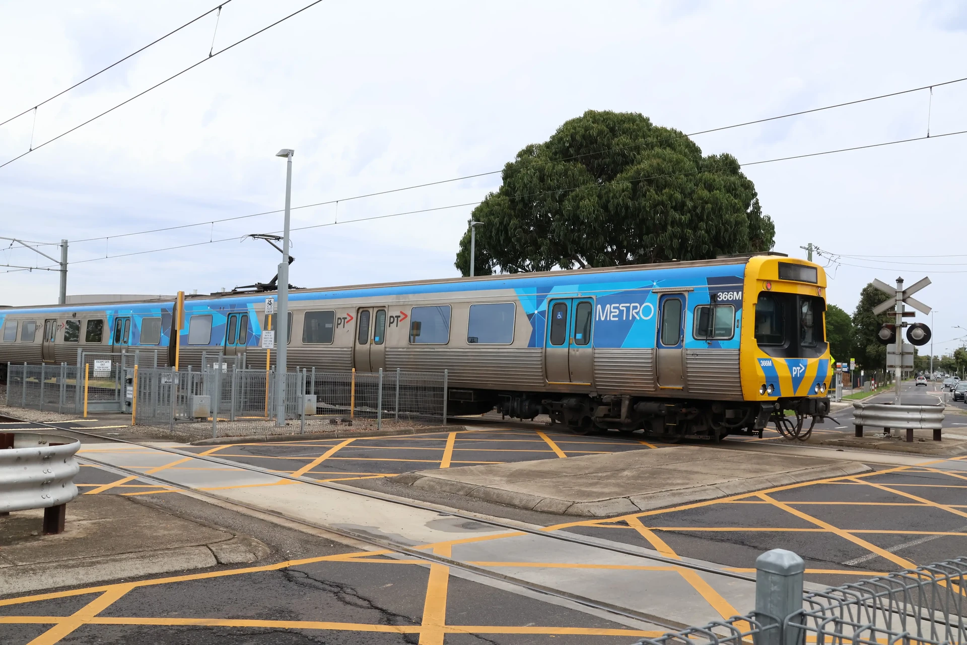 366M - EDI Comeng | Railway Photos