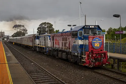 P Class P13