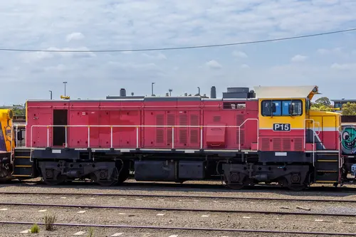 P Class P15