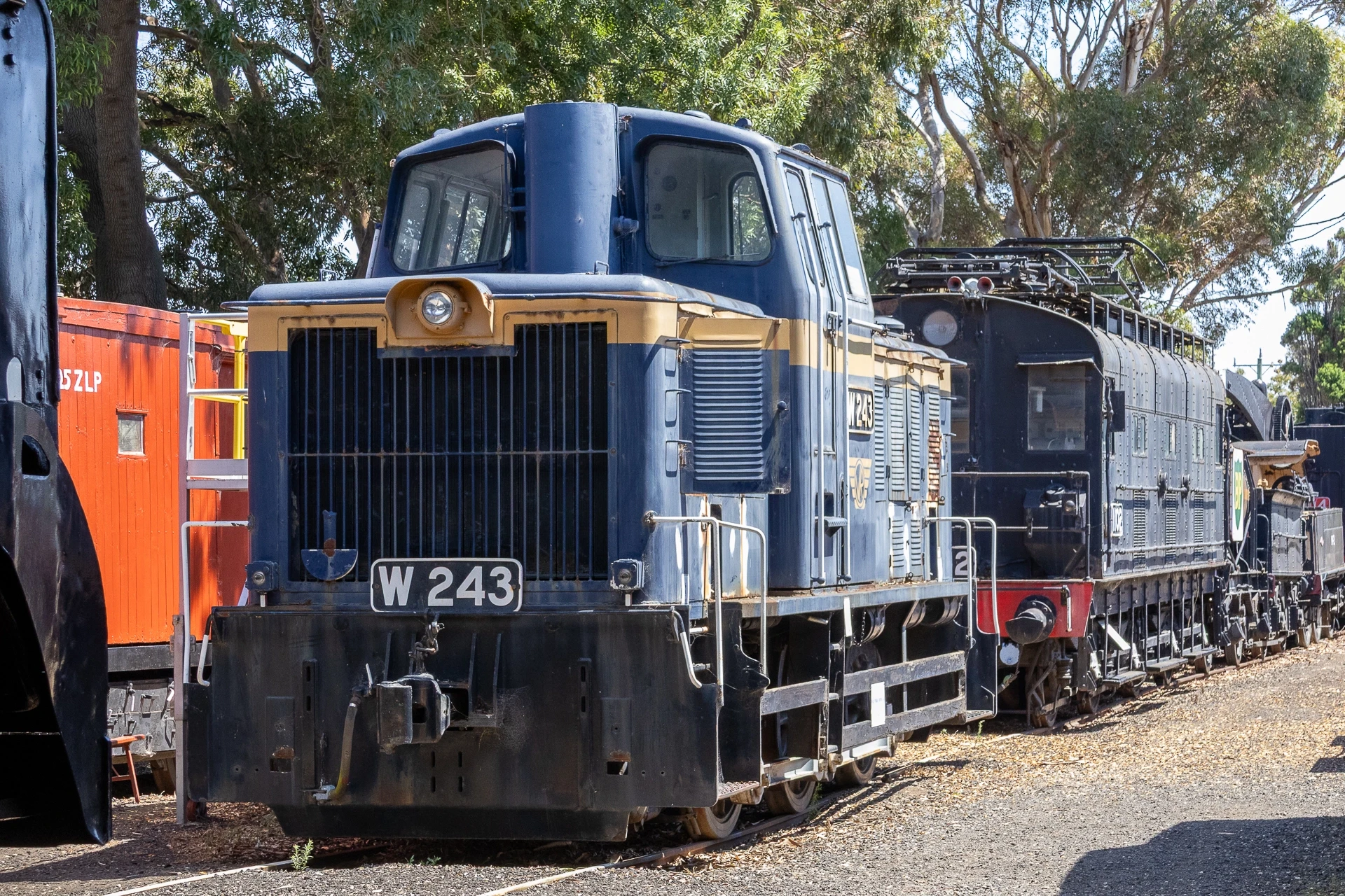 W Class W243