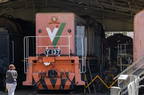 Y Class Y137