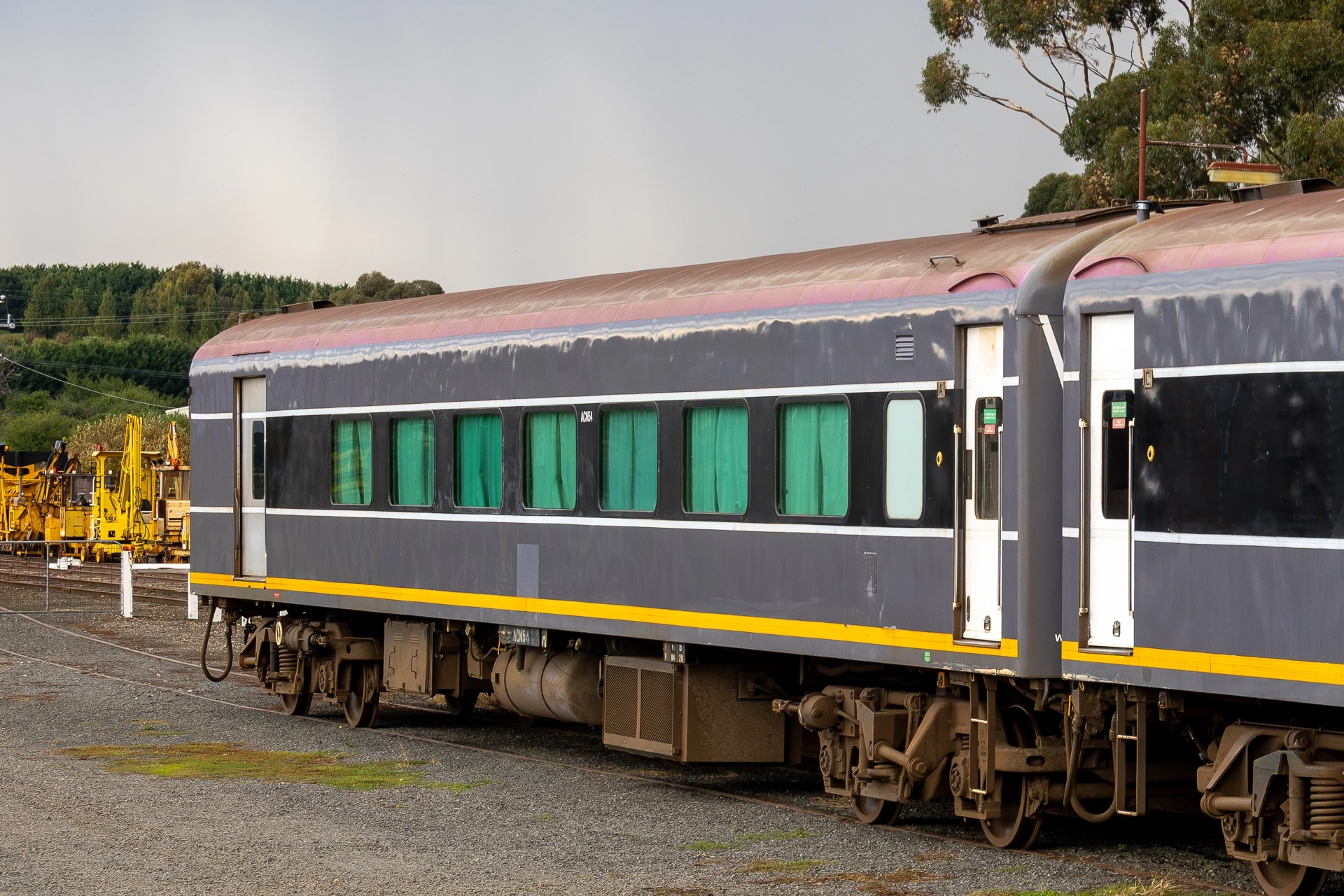 N Type ACN54