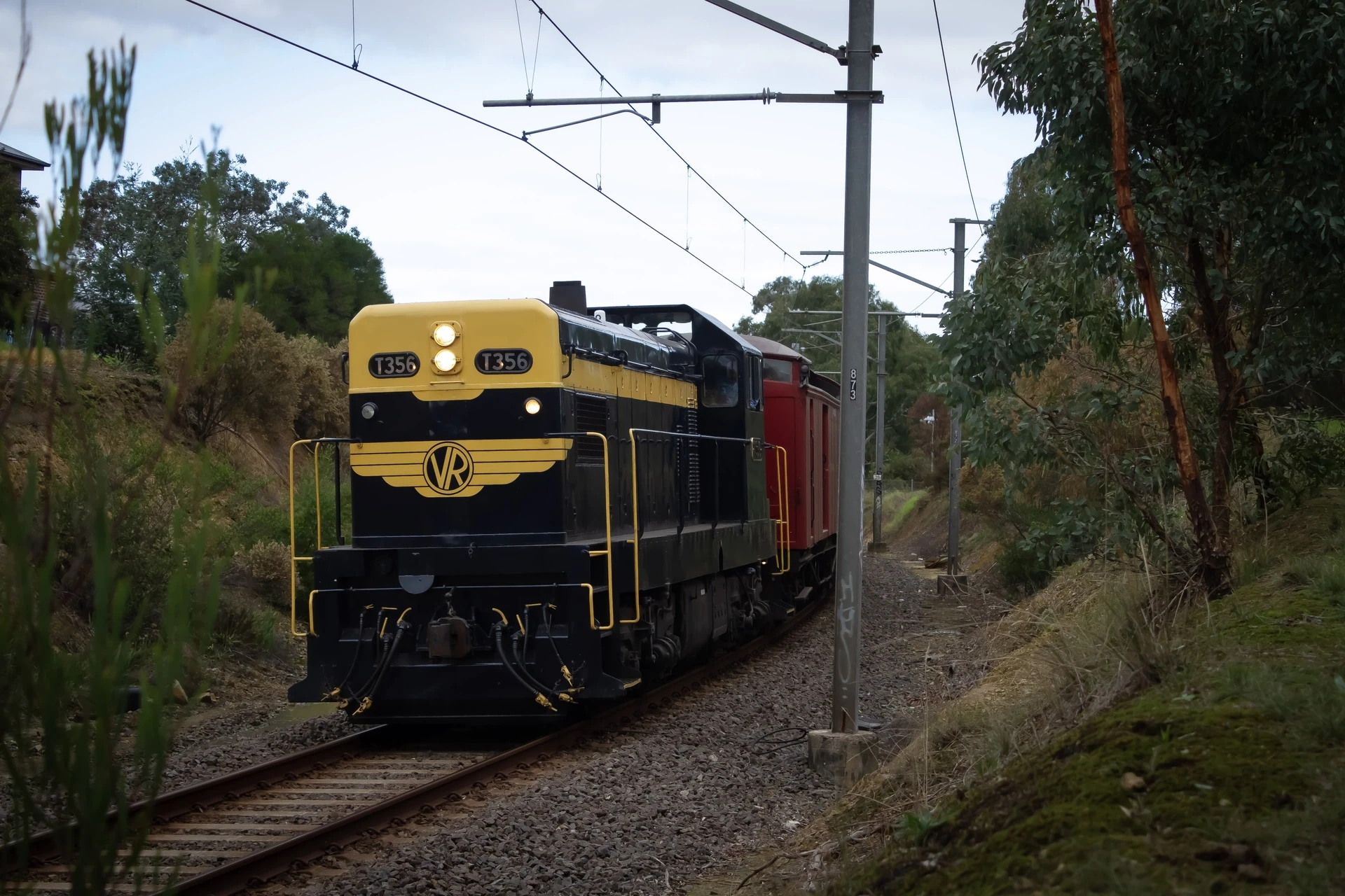 T Class T356