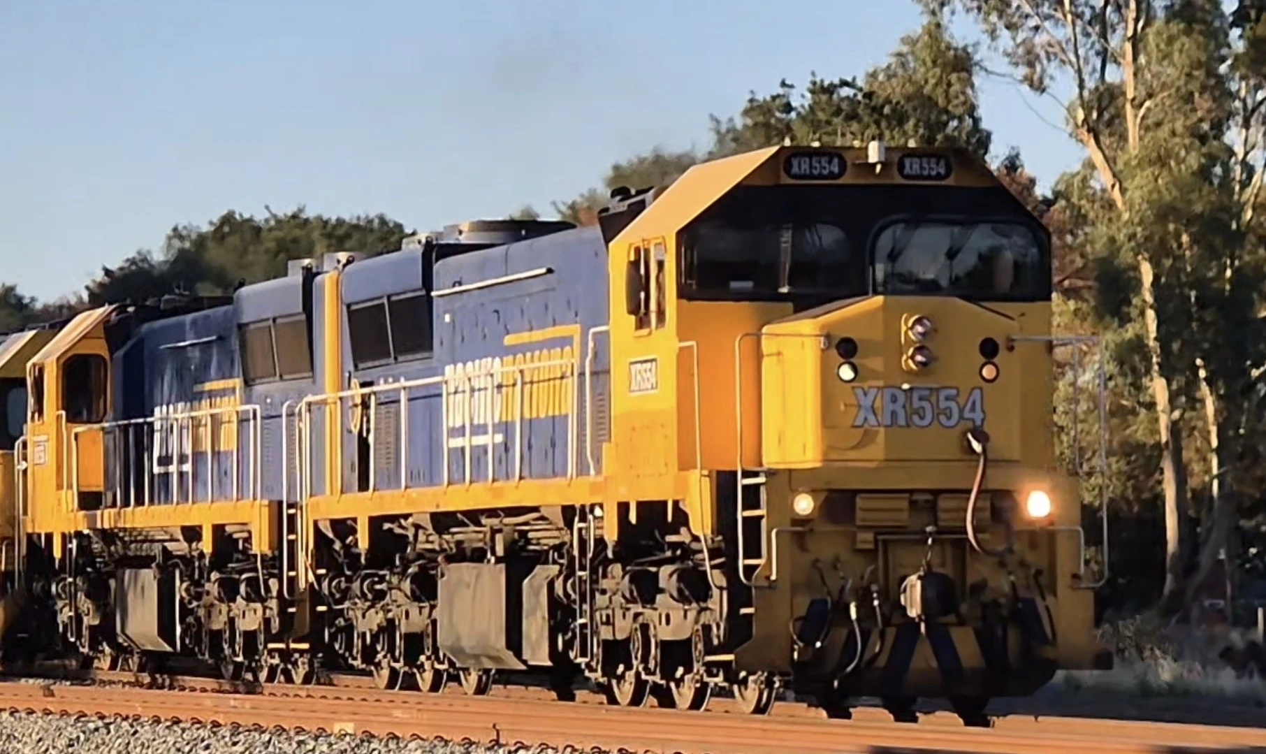 XR Class XR554