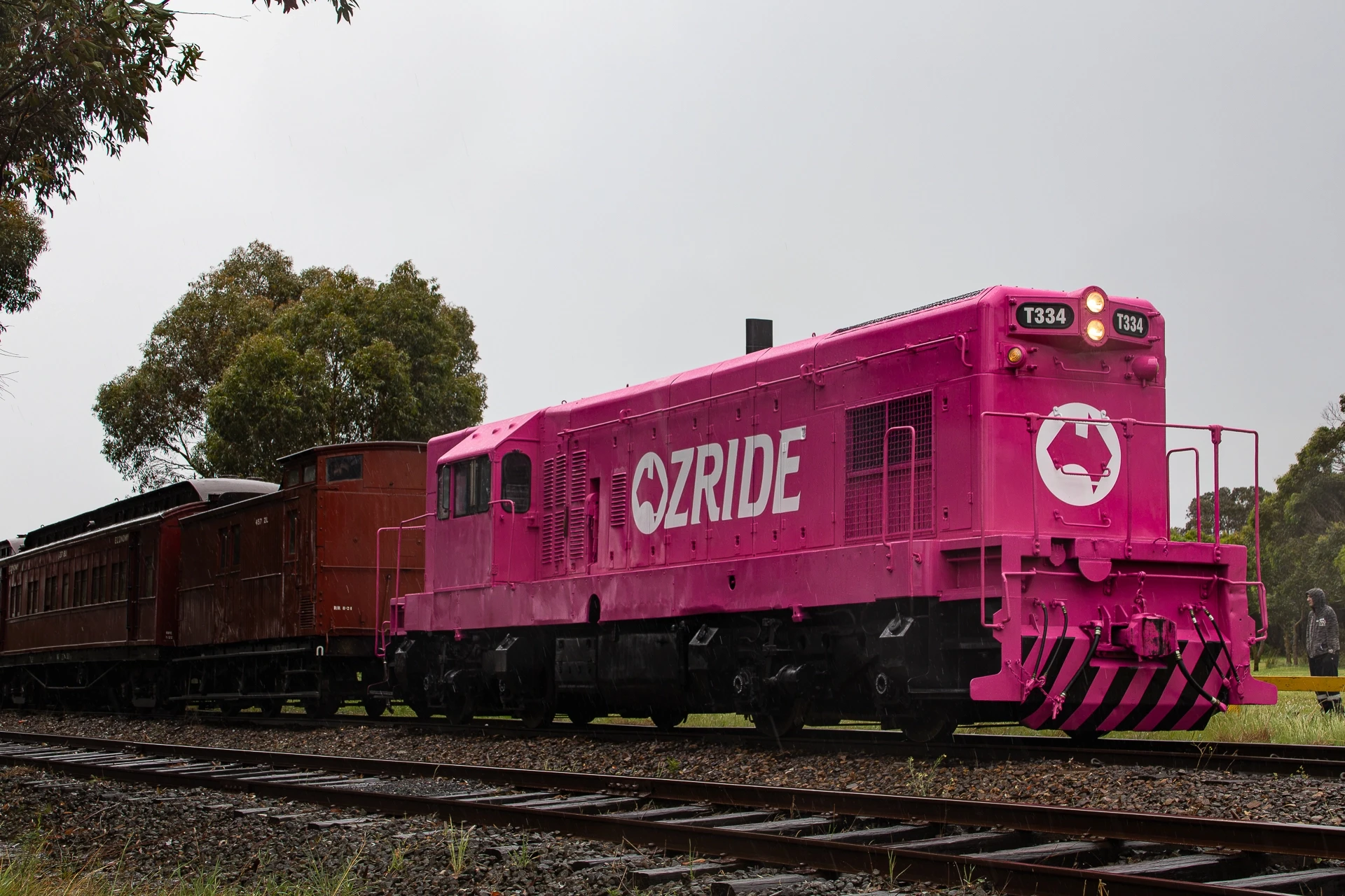 T Class T334