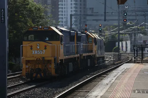 XR Class XR557