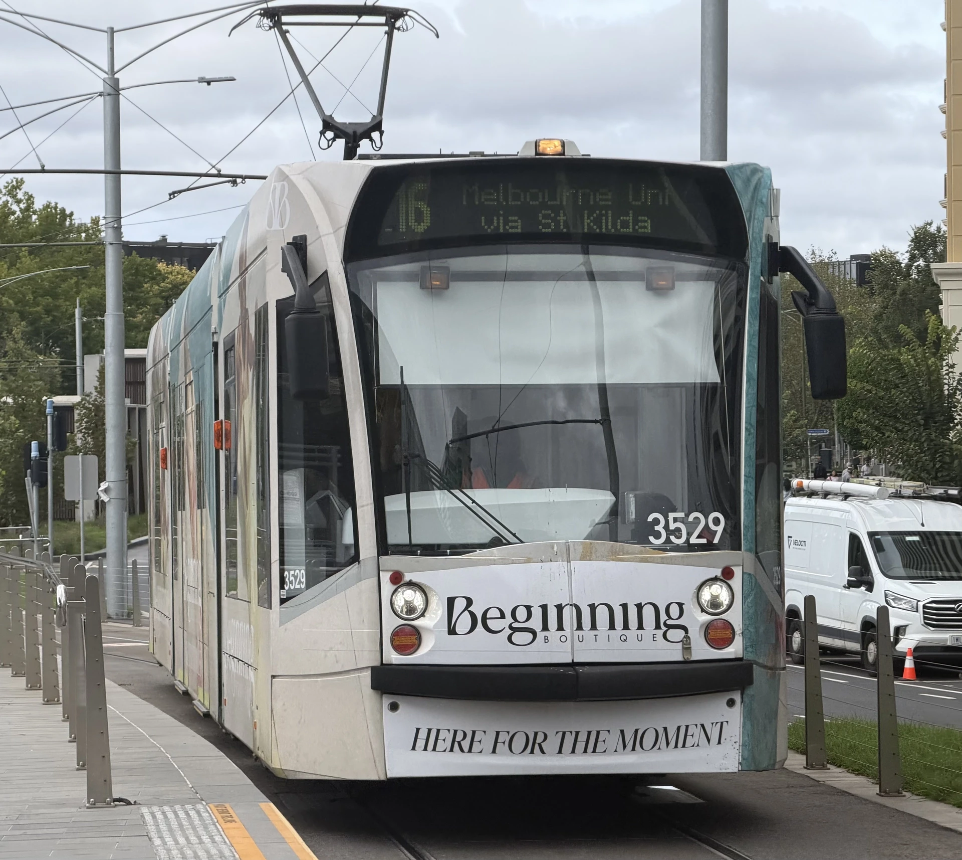 D Class 3529