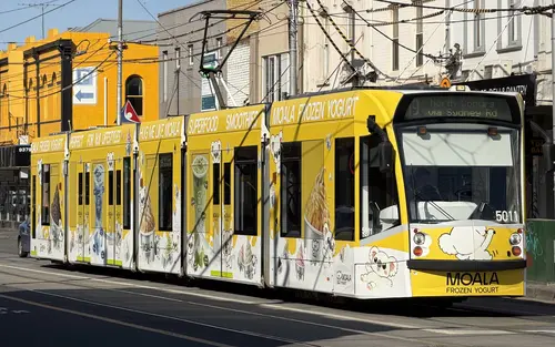 D Class 5011