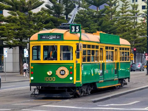 W Class 1000
