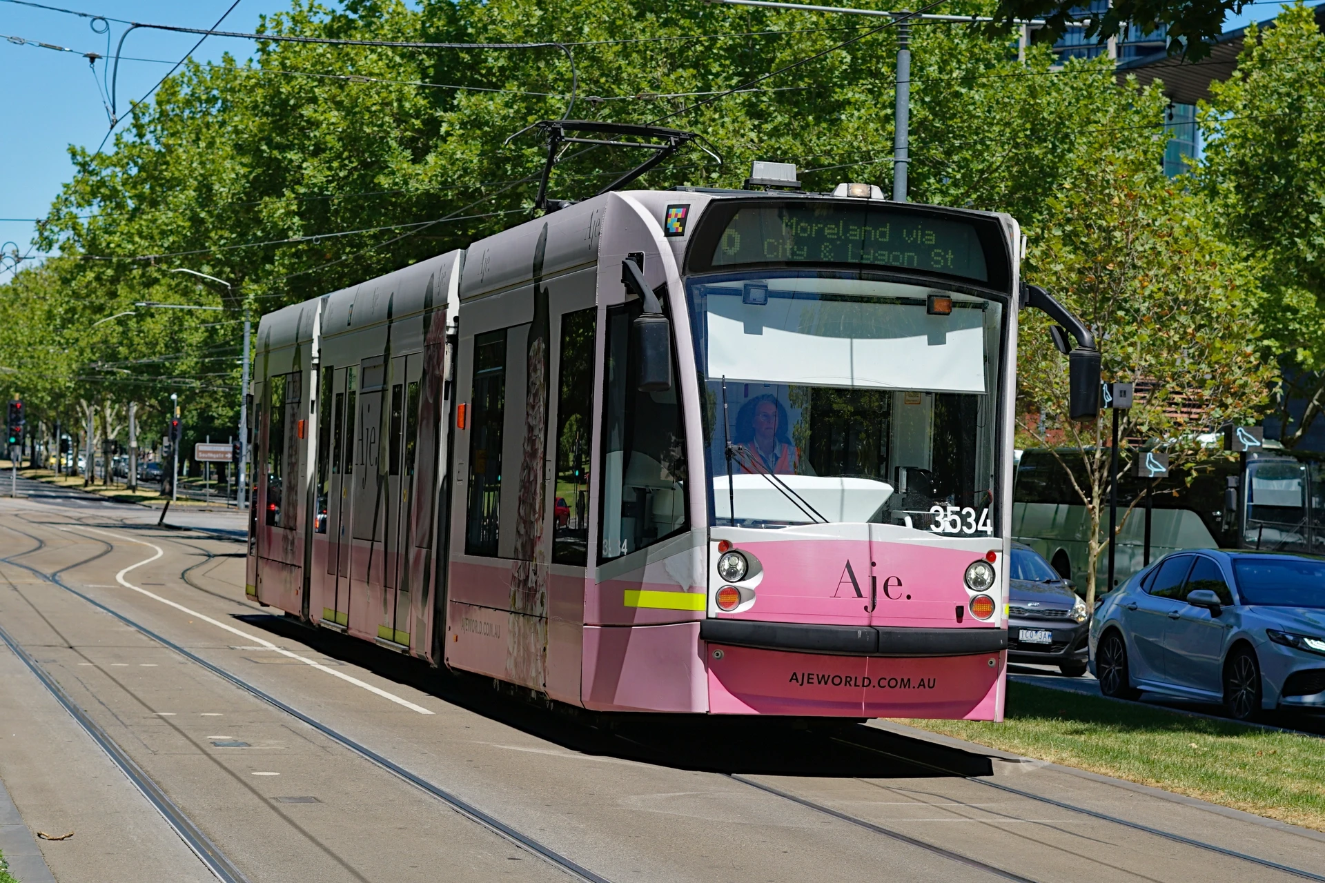 D Class 3534