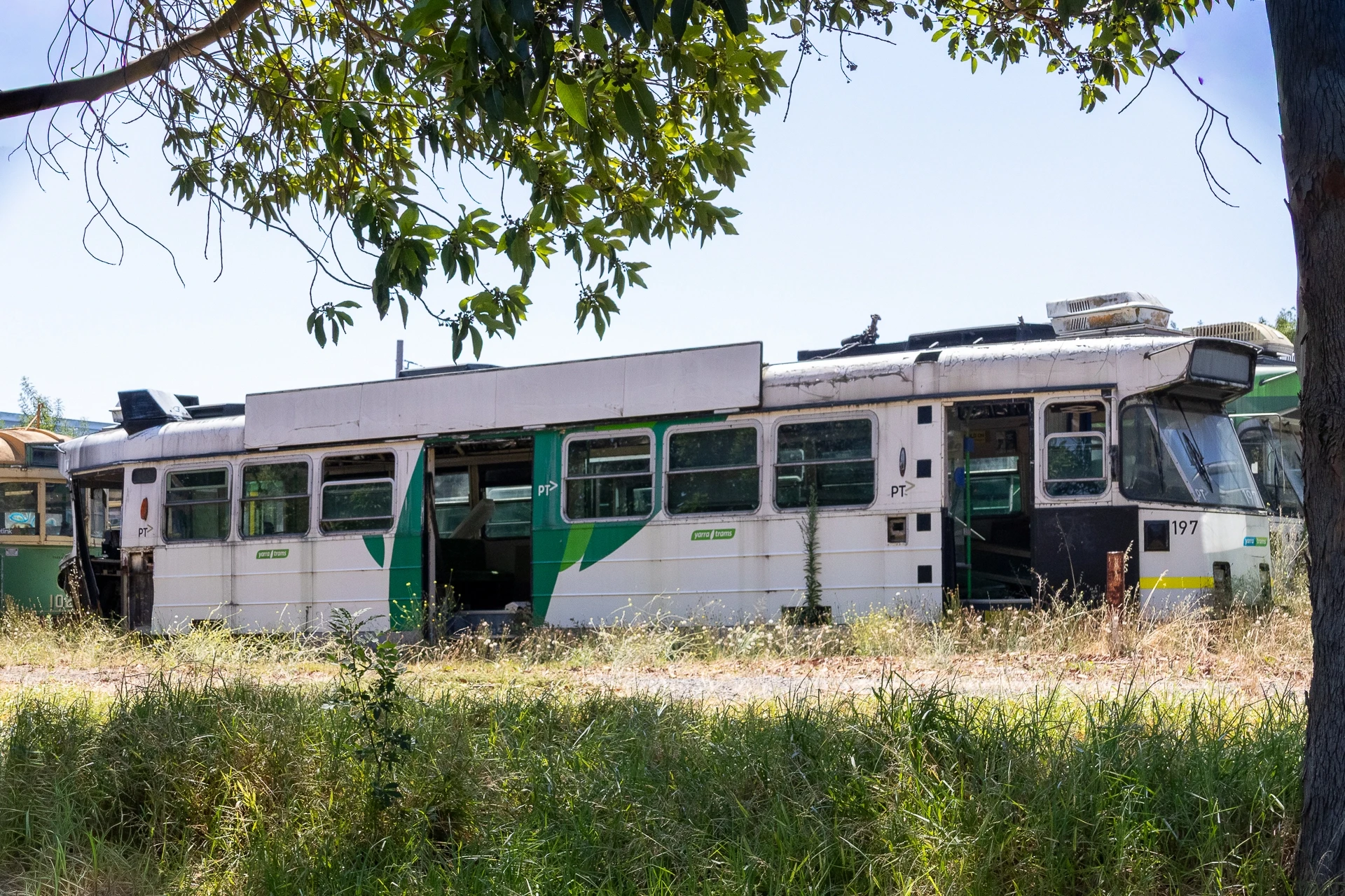 Z Class 197